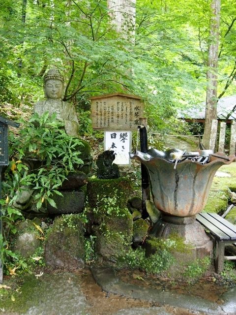 P5303562 (640x480)