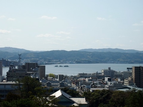 P3207463 (640x480)