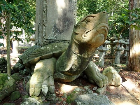 P3207572 (640x480)