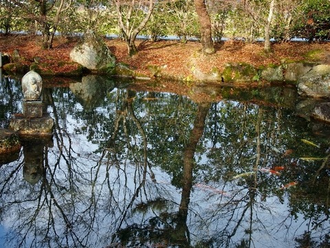 P1196135 (640x480)