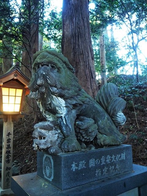 PC020660