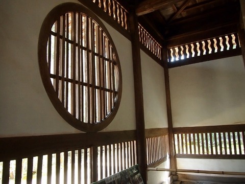 P3056986 (640x480)