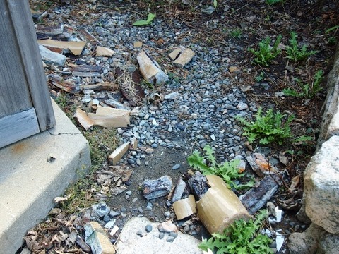 PA197946 (640x480)