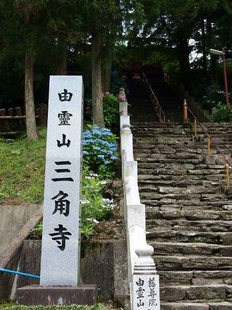 P6284628 (640x480)