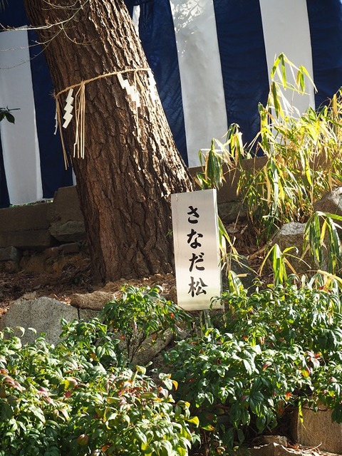 P2180159