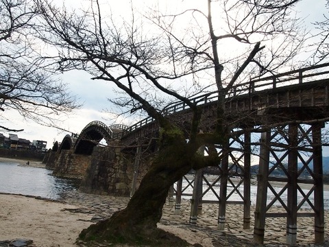 P1235569 (640x480)