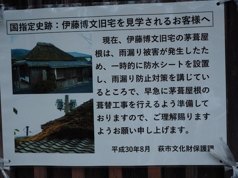 P9170291