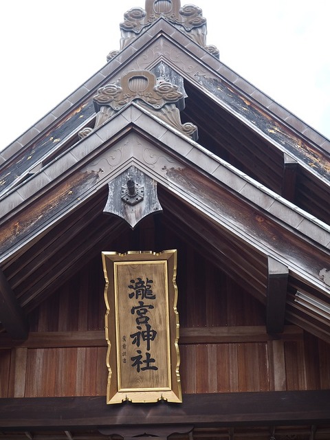 P3110885