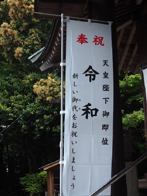 P5010999