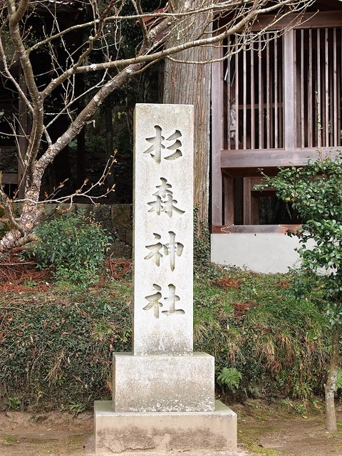 P1016246