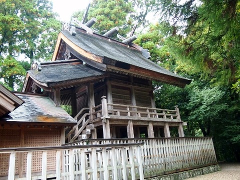 PA298472 (640x480)
