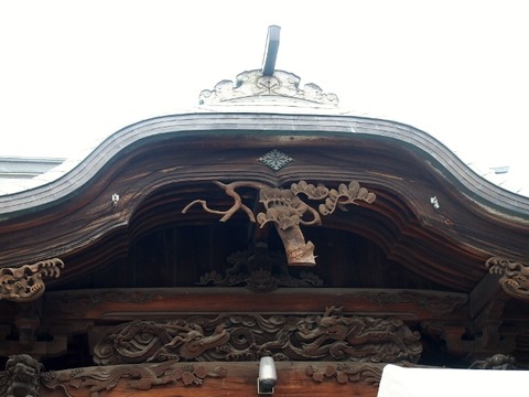P2217532 (640x480)