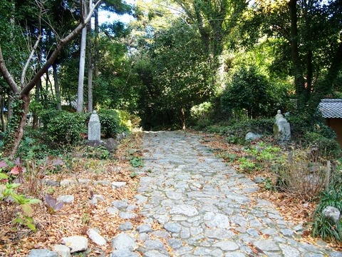 PC144410 (0) (640x480)