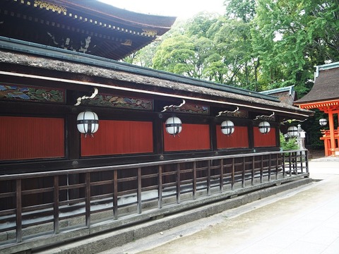 P6030204