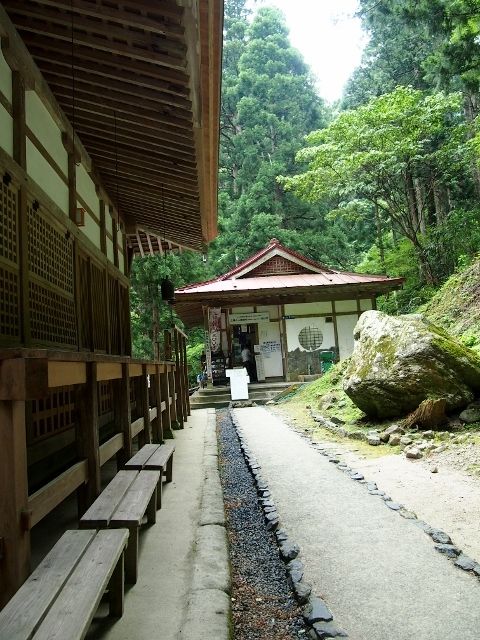 P5303571 (640x480)
