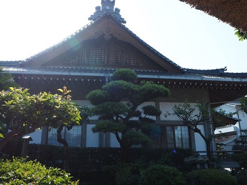 P6250697