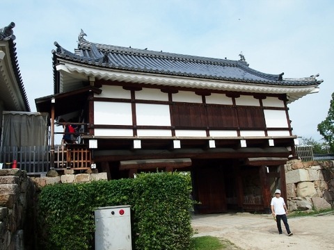 PA027068 (640x480)