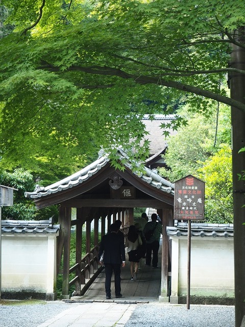 P6040388