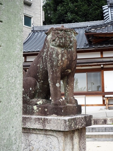 PA010507