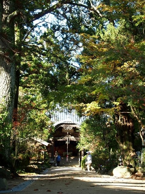 PB163479 (640x480)