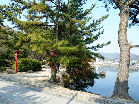 P3056866 (640x480)