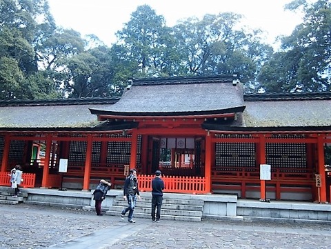 P1221782 (640x480)