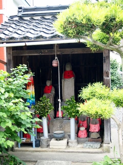 P5303611 (640x480)