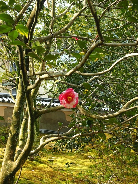 P3274391
