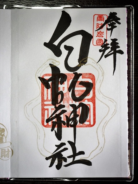 P3050730