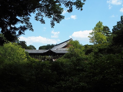 P6040379