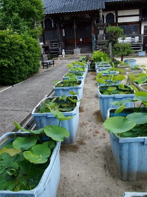 P5303616 (640x480)