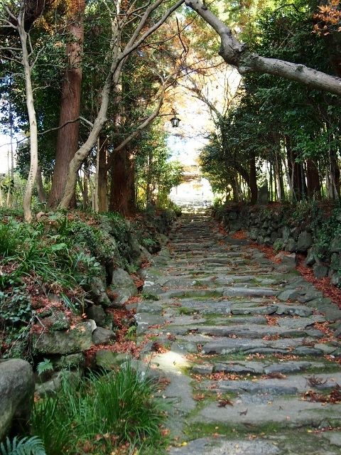 PC144413 (0) (640x480)