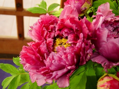 P1196224 (640x480)