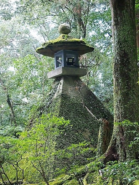 P1221789 (640x480)
