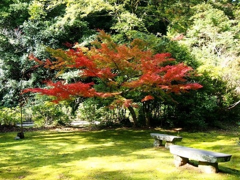 PB129555 (640x480)