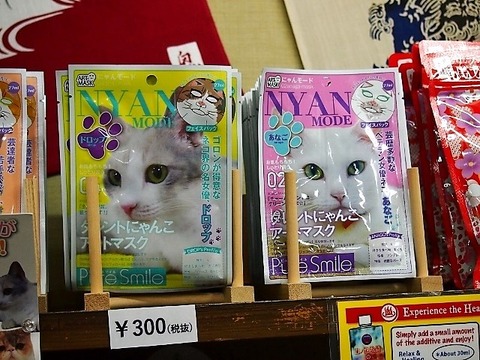 P1231859 (640x480)