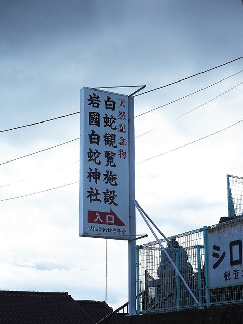 P3040684