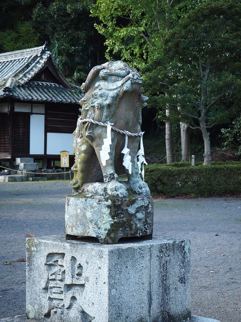 PA280737