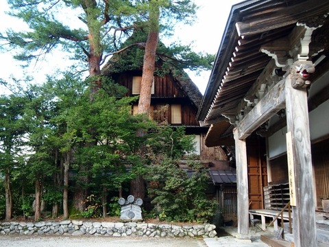 PA187821 (640x480)