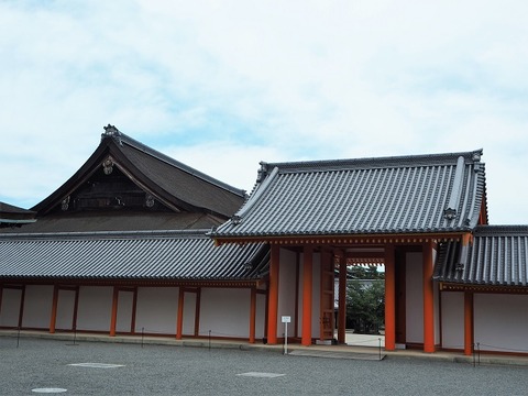 P6030077