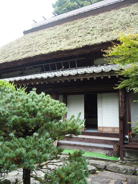 P9240038