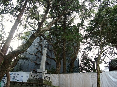 P1035263 (640x480)