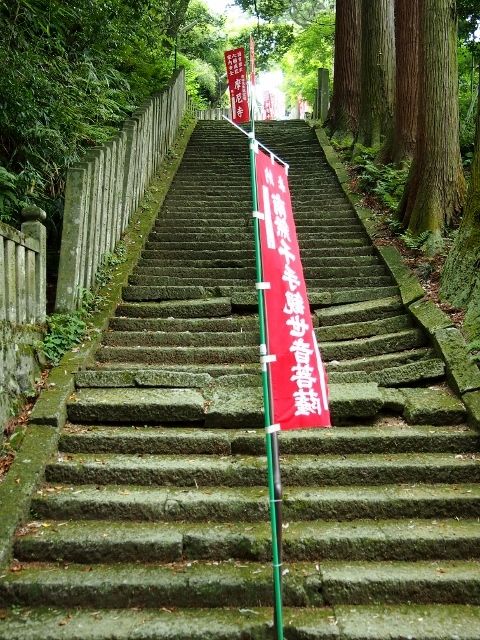 P5303580 (640x480)