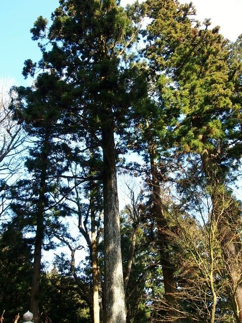 P1045054 (640x480)