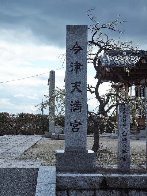 P3040699