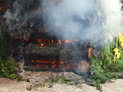 P2156249 (640x480)