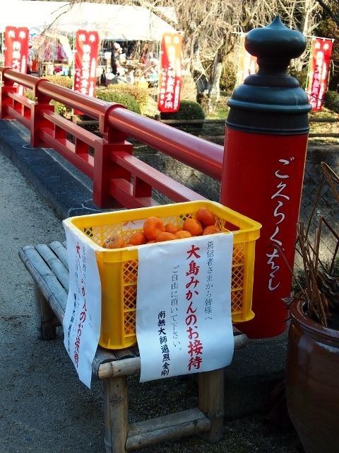 P2156174 (480x640)
