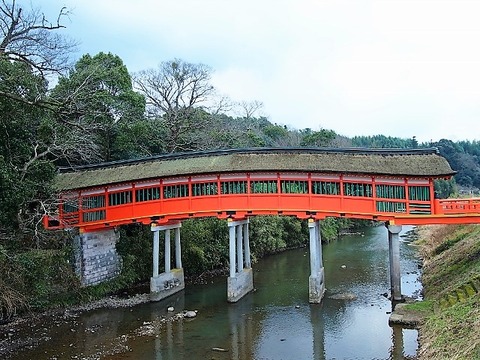 P1221791 (640x480)