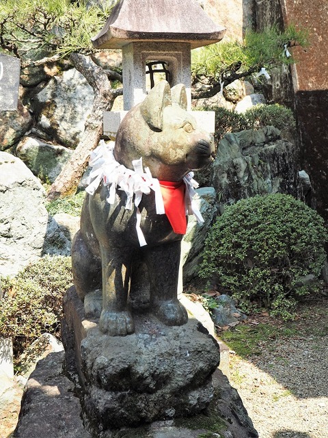 P3250069