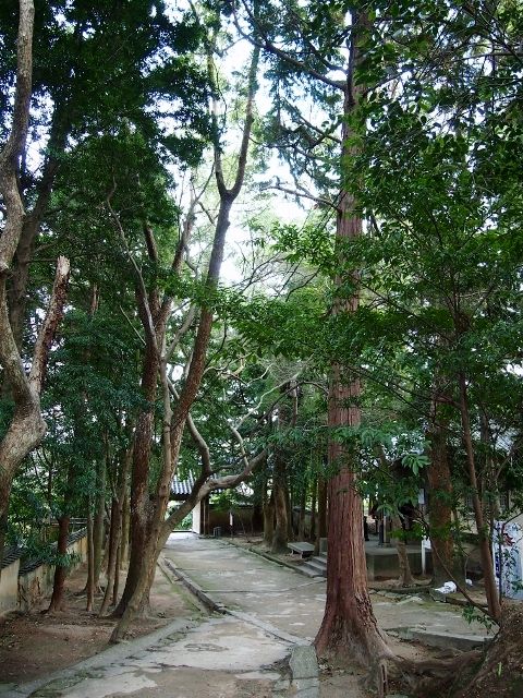 P1035264 (640x480)